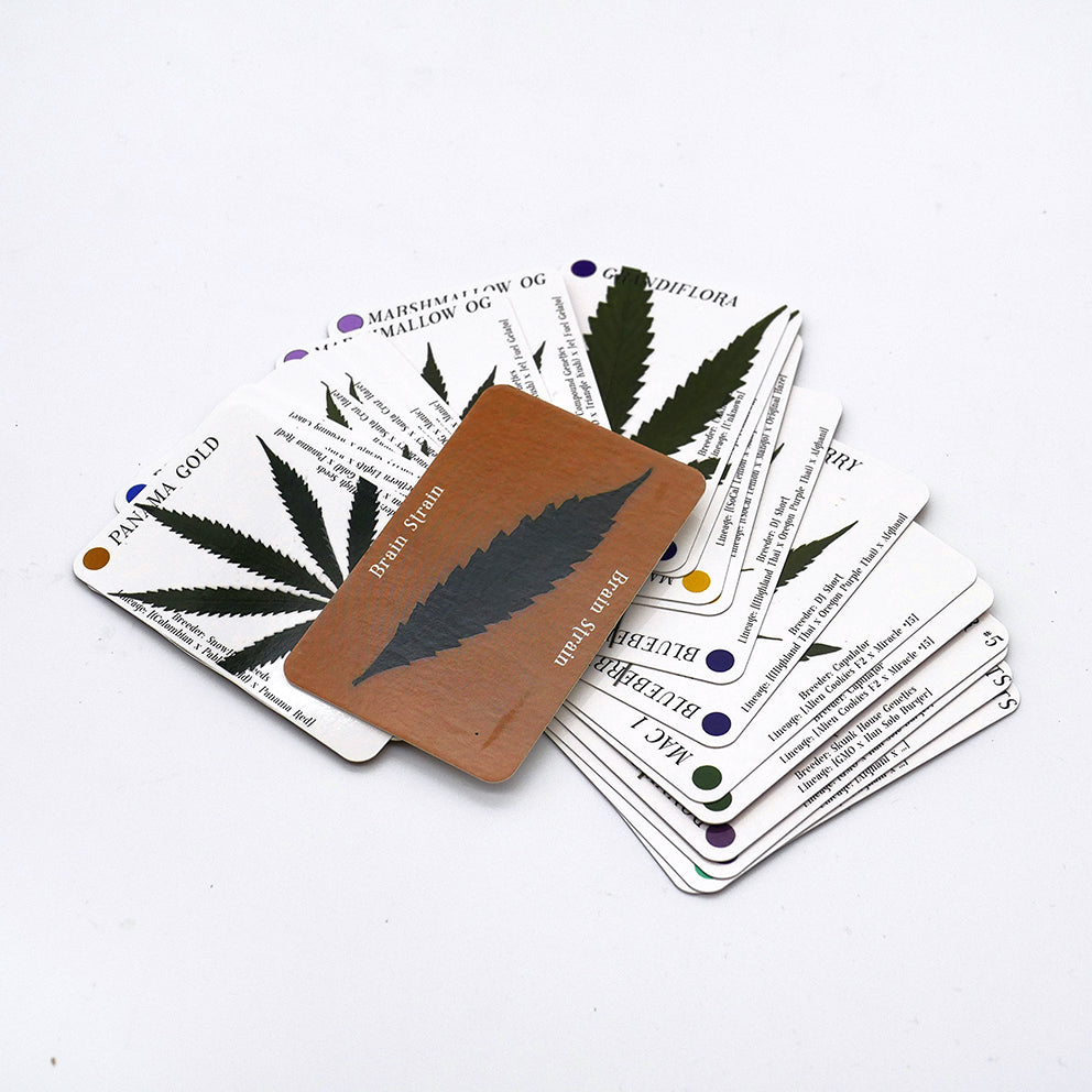 BRAIN STRAIN, MEMORY MATCHING CARD GAME