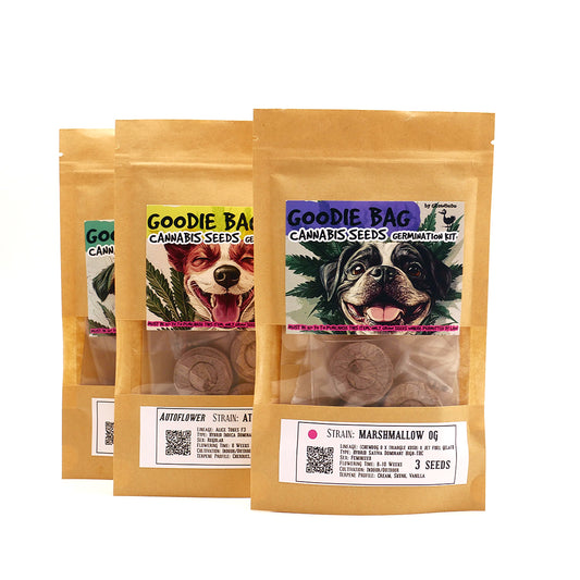 GOODIE BAGS (Cannabis Seeds Germination Kits)