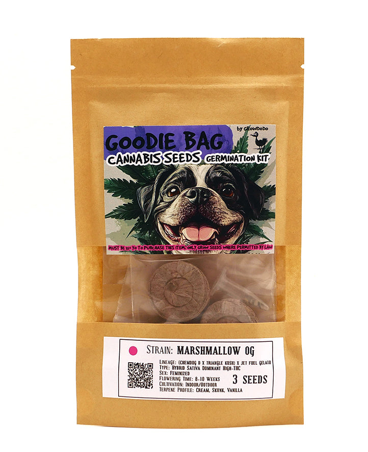 GOODIE BAGS (Cannabis Seeds Germination Kits)