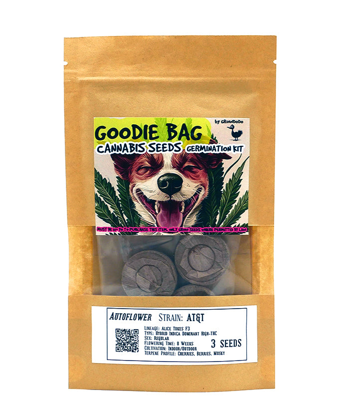 GOODIE BAGS (Cannabis Seeds Germination Kits)