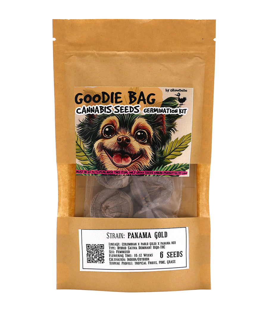 GOODIE BAGS (Cannabis Seeds Germination Kits)