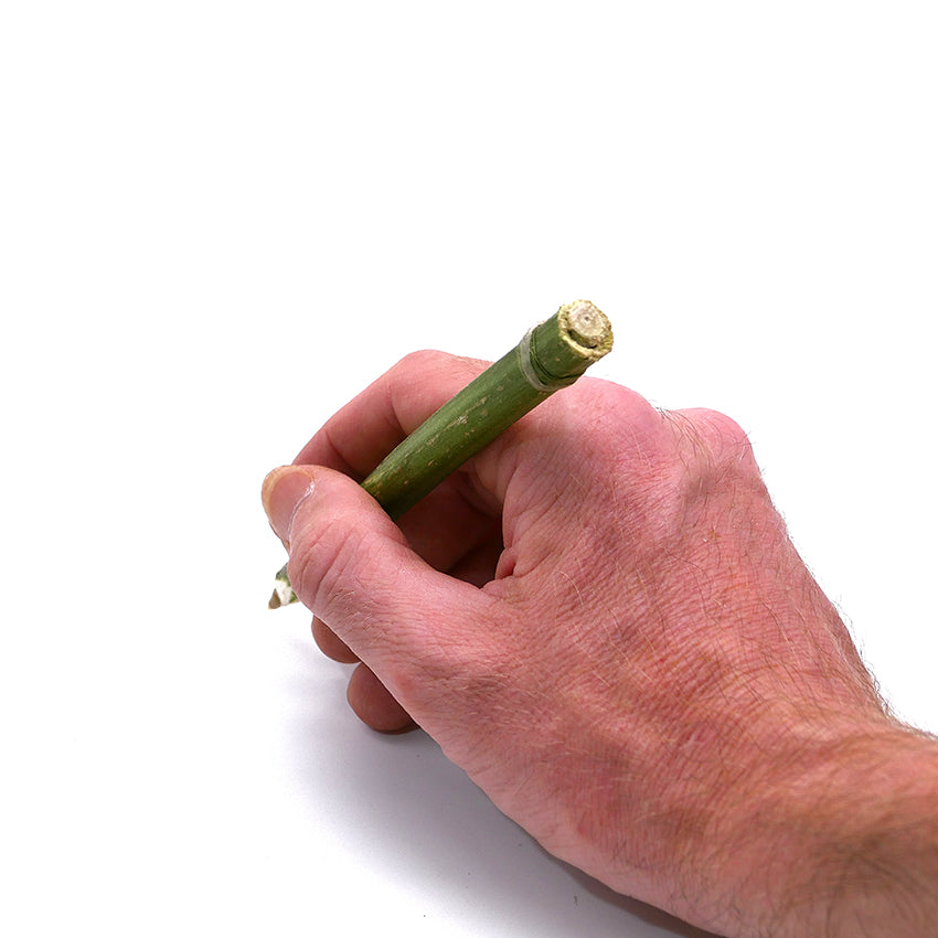 PEN WITH NATURAL HEMP BARREL