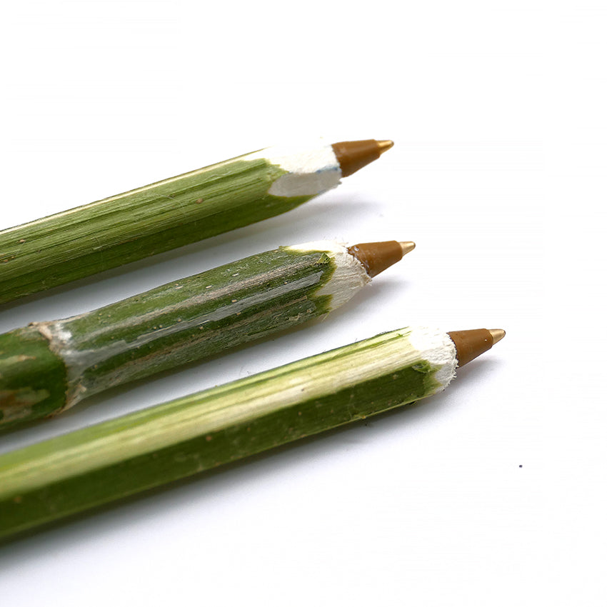 PEN WITH NATURAL HEMP BARREL